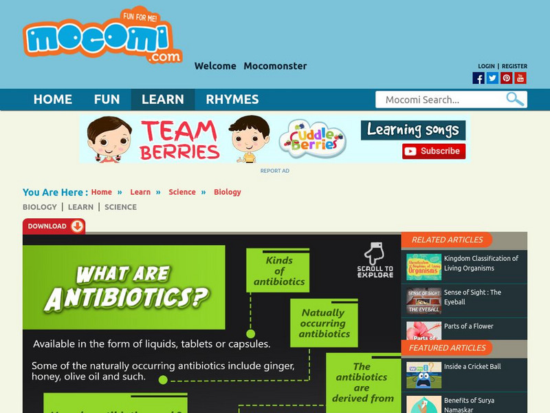 Mocomi: What Are Antibiotics Article Mocomi: What Are Antibiotics Article