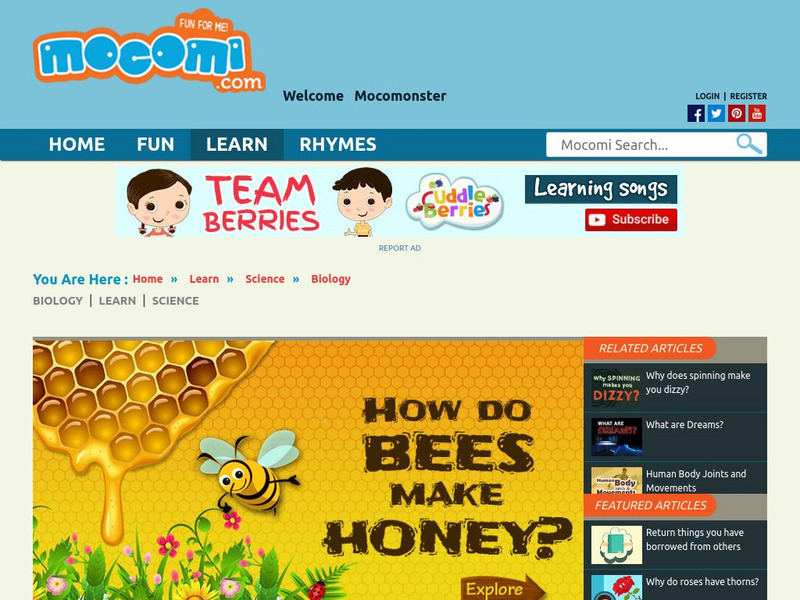 Mocomi: How Do Bees Make Honey? Website
