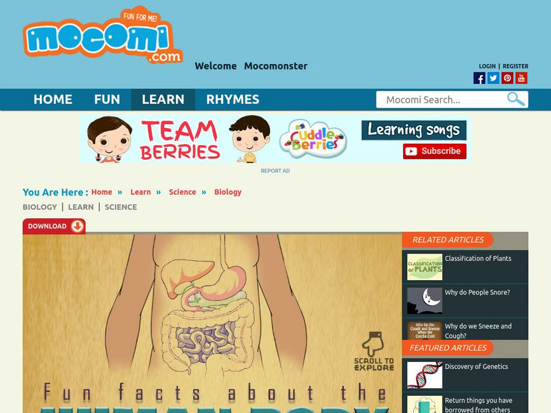 Mocomi: Fun Facts About the Human Body Website Mocomi: Fun Facts About the Human Body Website