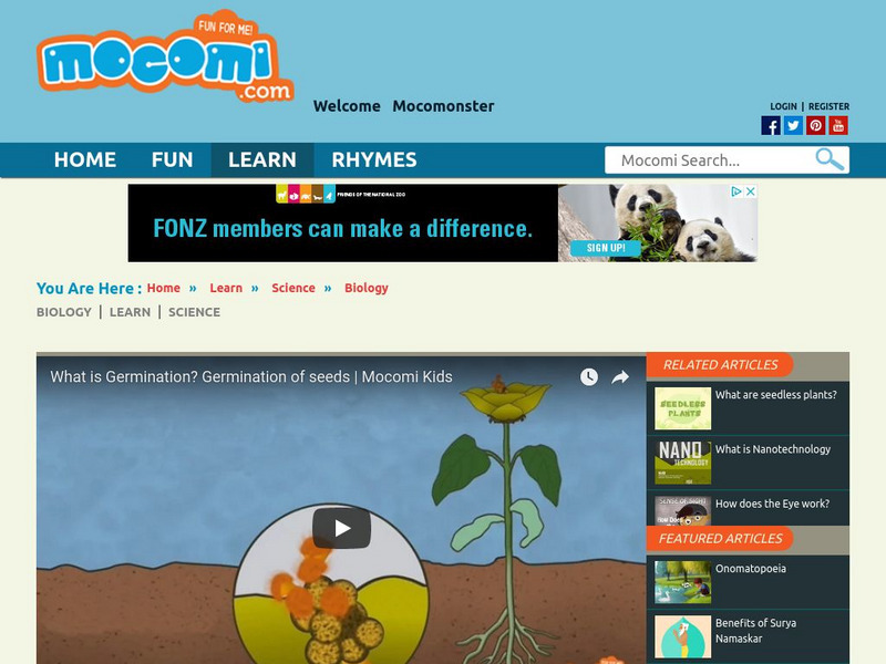 Mocomi: What Is Germination? Instructional Video