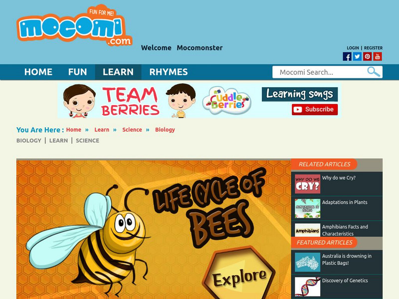 Mocomi: Life Cycle of Bees Unit Plan Mocomi: Life Cycle of Bees Unit Plan