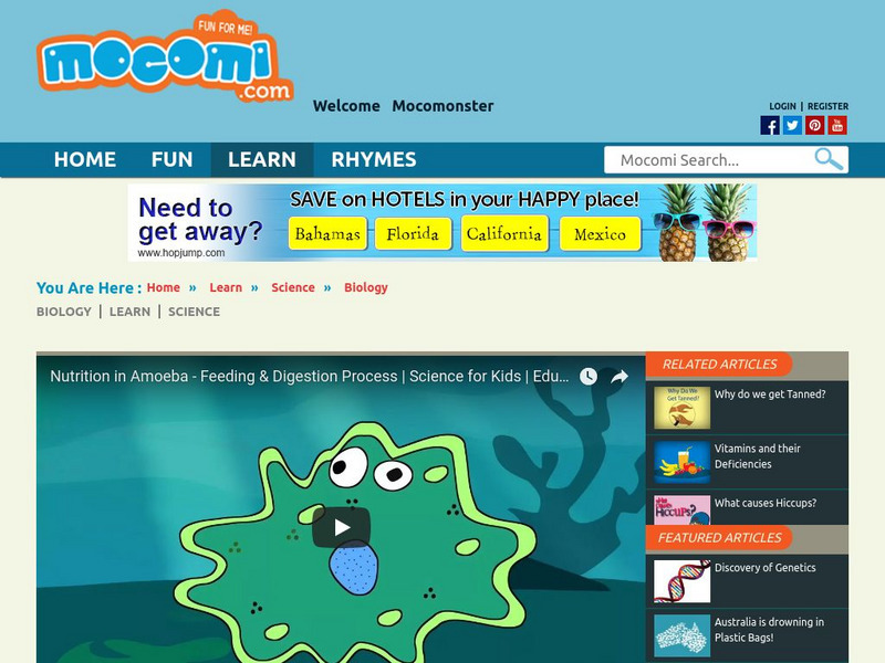 Mocomi: Nutrition in Amoeba Instructional Video