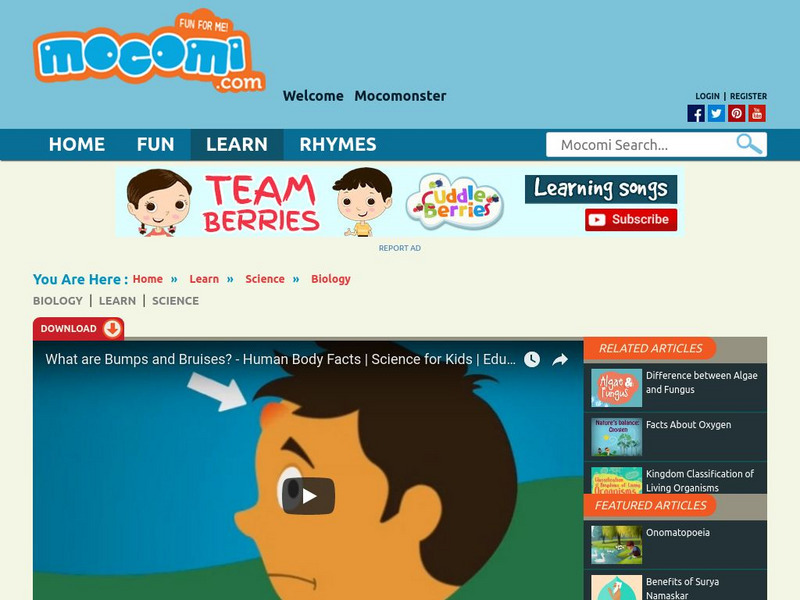 Mocomi: What Are Bumps and Bruises? Instructional Video