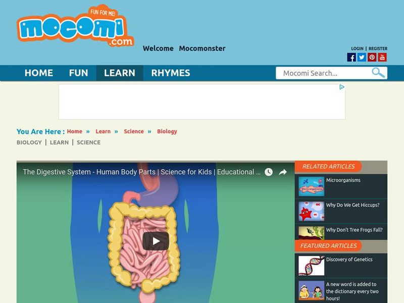 Mocomi: How Does the Digestive System Work? Instructional Video