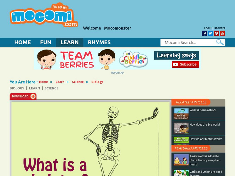 Mocomi: What Is a Skeleton? Website Mocomi: What Is a Skeleton? Website