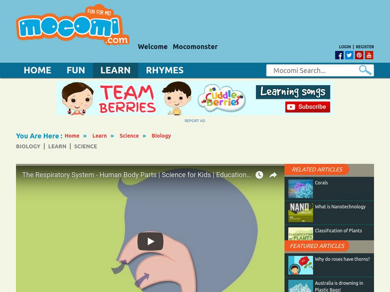 Mocomi: How Does the Respiratory System Work? Instructional Video