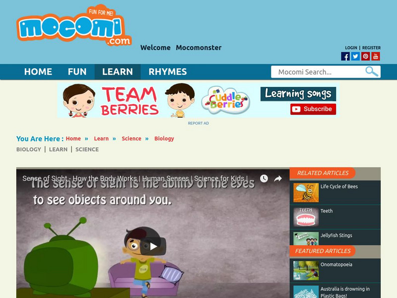 Mocomi: Sense of Sight: The Eyeball Instructional Video