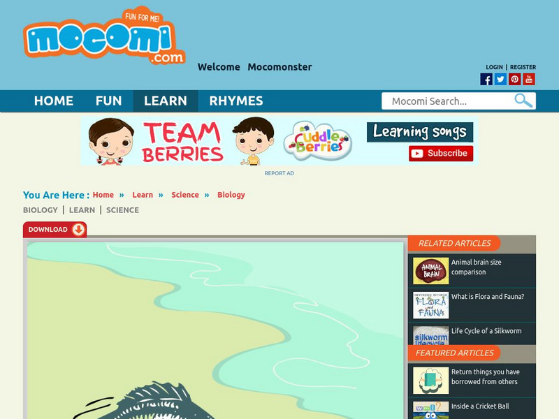 Mocomi: Why Do Fish Die if They Are Out of the Water? Website Mocomi: Why Do Fish Die if They Are Out of the Water? Website