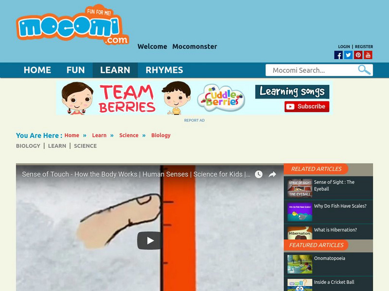 Mocomi: How the Body Works: Sense of Touch Instructional Video