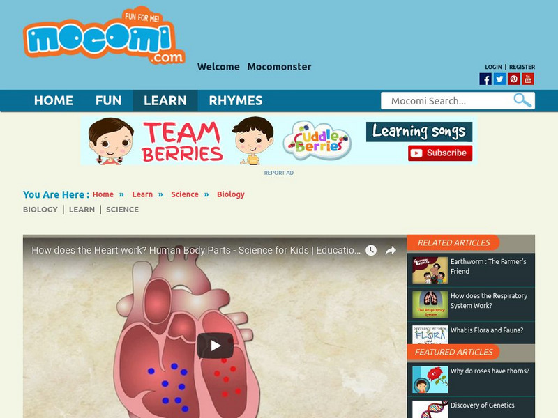 Mocomi: How Does the Heart Work? Instructional Video Mocomi: How Does the Heart Work? Instructional Video