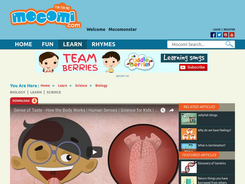 Mocomi: What Is Taste? Instructional Video Mocomi: What Is Taste? Instructional Video