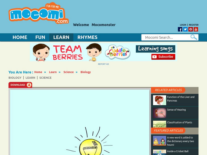 Mocomi: Electric Eels Unit Plan Mocomi: Electric Eels Unit Plan