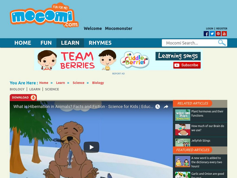 Mocomi: What Is Hibernation? Instructional Video Mocomi: What Is Hibernation? Instructional Video