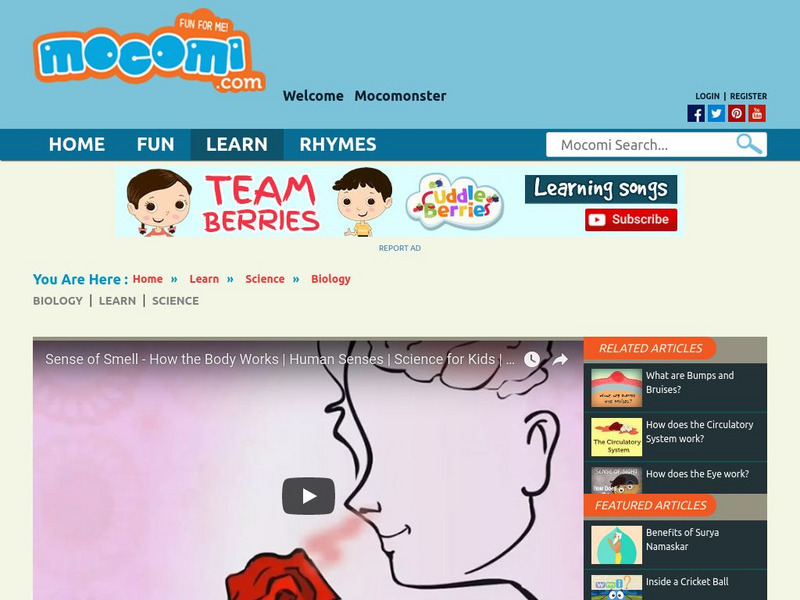 Mocomi: Sense of Smell Instructional Video Mocomi: Sense of Smell Instructional Video