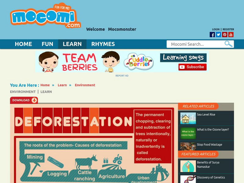 Mocomi: What Is Deforestation? Website Mocomi: What Is Deforestation? Website