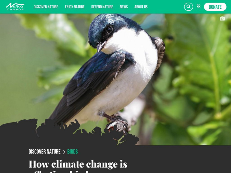 Nature Canada: How Is Climate Change Affecting Birds? Website Nature Canada: How Is Climate Change Affecting Birds? Website
