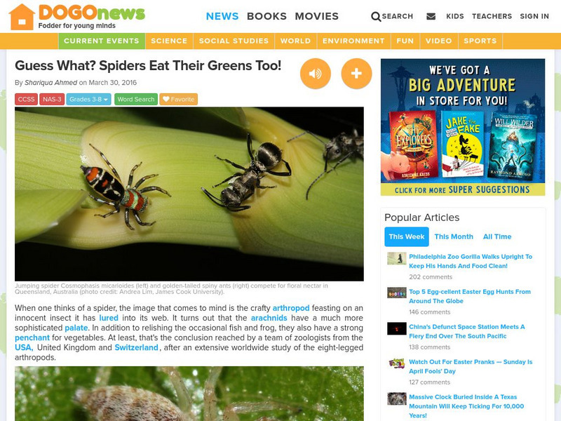 Dogo News: Week of 4 4 16: Spiders Eat Their Greens Too! Article
