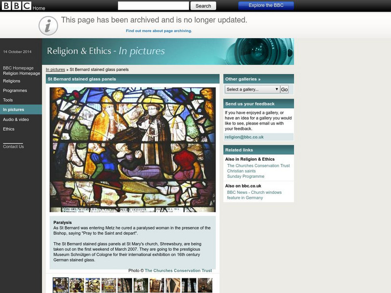Bbc: St. Bernard in Pictures Graphic Bbc: St. Bernard in Pictures Graphic