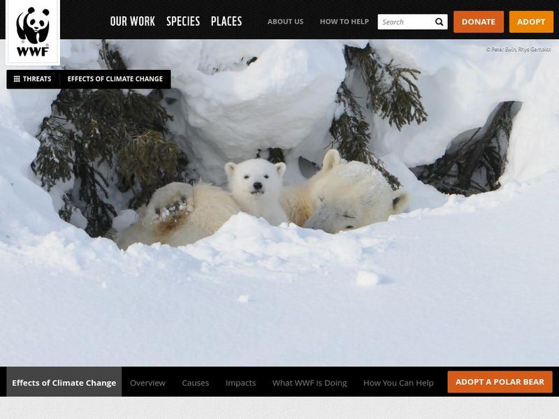 World Wildlife Fund: Climate Change Website World Wildlife Fund: Climate Change Website