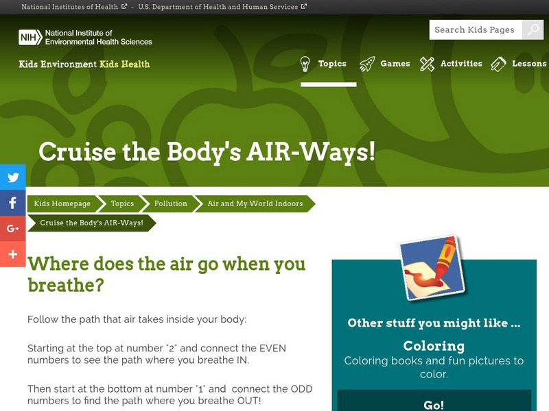 National Institute of Environmental Health Sciences: Cruise the Body's Air Ways Graphic National Institute of Environmental Health Sciences: Cruise the Body's Air Ways Graphic