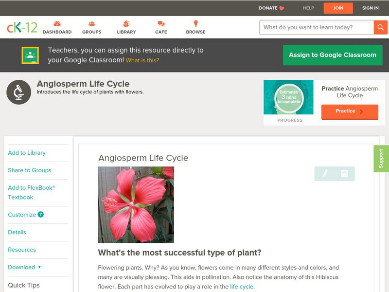 Ck 12: Biology: Angiosperm Life Cycle Unit Plan Ck 12: Biology: Angiosperm Life Cycle Unit Plan