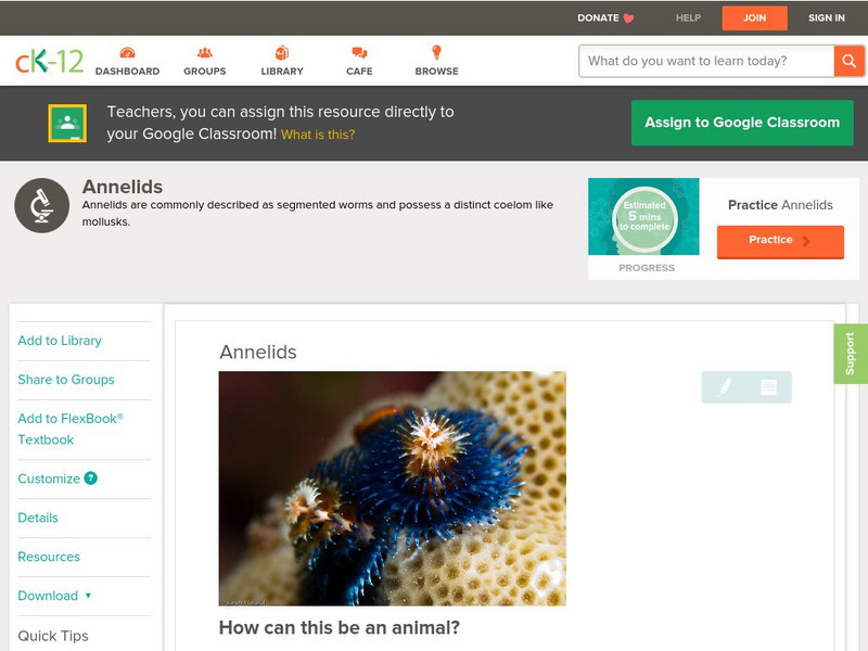 Ck 12: Biology: Annelids Unit Plan Ck 12: Biology: Annelids Unit Plan