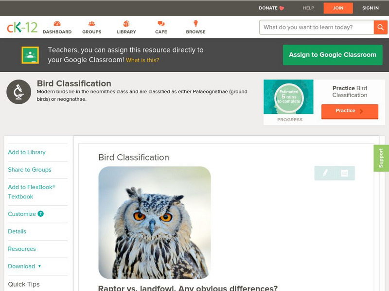 Ck 12: Biology: Bird Classification Unit Plan Ck 12: Biology: Bird Classification Unit Plan