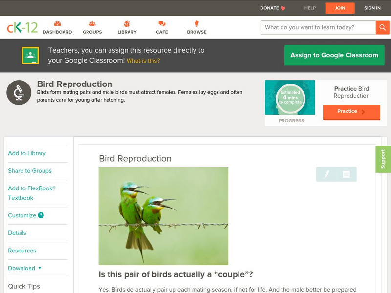 Ck 12: Biology: Bird Reproduction Unit Plan Ck 12: Biology: Bird Reproduction Unit Plan