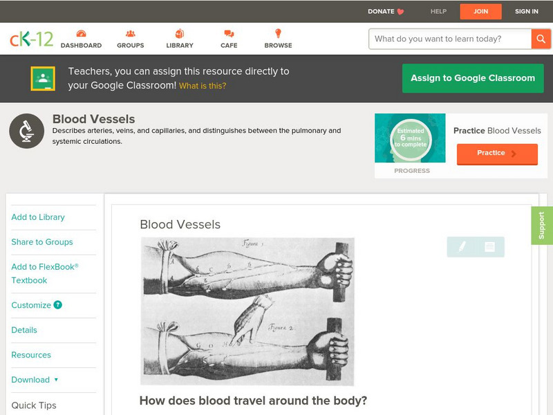 Ck 12: Biology: Blood Vessels Unit Plan Ck 12: Biology: Blood Vessels Unit Plan