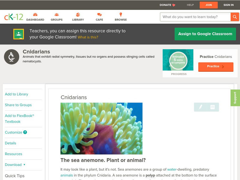 Ck 12: Biology: Cnidarians Unit Plan Ck 12: Biology: Cnidarians Unit Plan