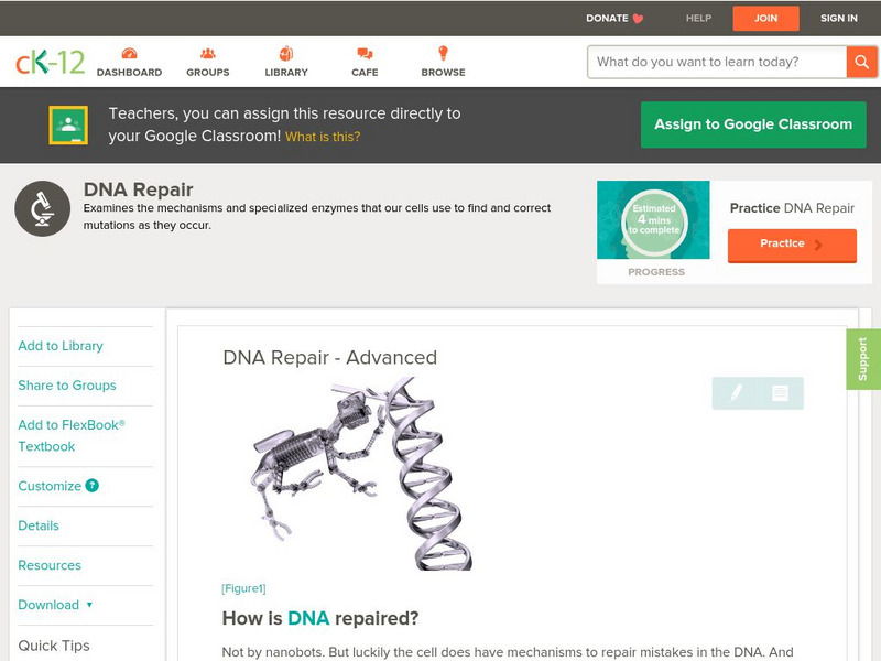 Ck 12: Dna Repair Unit Plan Ck 12: Dna Repair Unit Plan