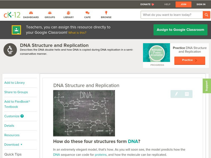 Ck 12: Biology: Dna Structure and Replication Unit Plan Ck 12: Biology: Dna Structure and Replication Unit Plan
