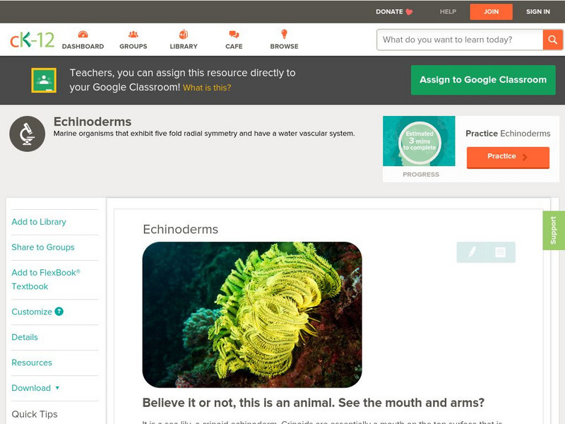 Ck 12: Biology: Echinoderms Unit Plan