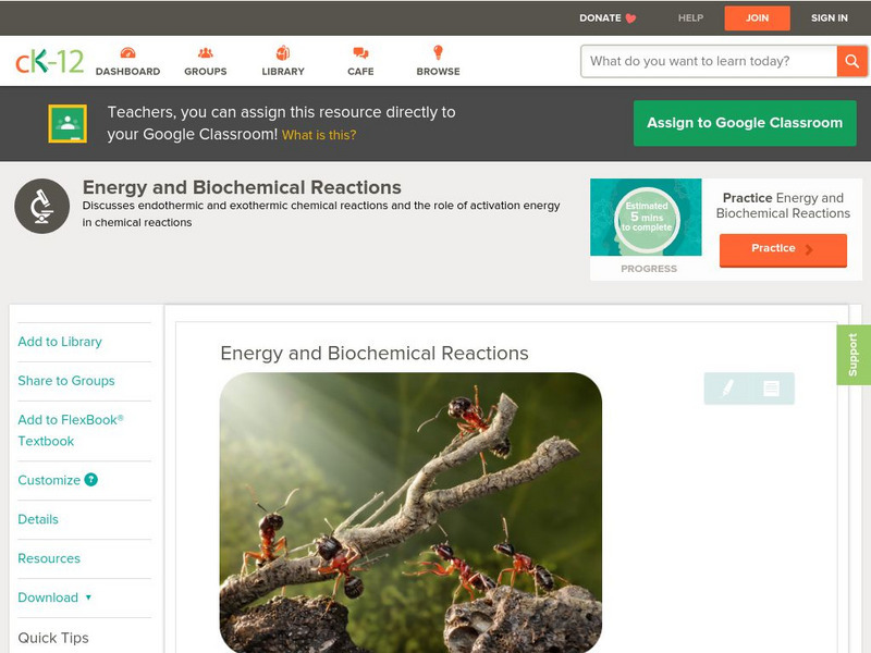 Ck 12: Biology: Energy and Biochemical Reactions Unit Plan Ck 12: Biology: Energy and Biochemical Reactions Unit Plan