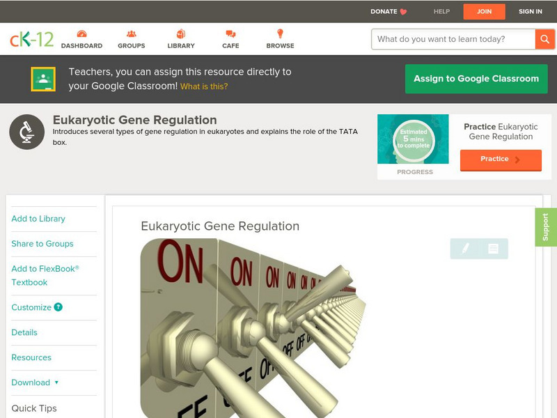 Ck 12: Biology: Eukaryotic Gene Regulation Unit Plan Ck 12: Biology: Eukaryotic Gene Regulation Unit Plan