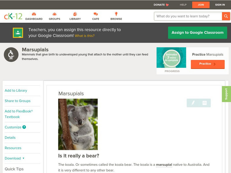 Ck 12: Biology: Marsupials Unit Plan Ck 12: Biology: Marsupials Unit Plan