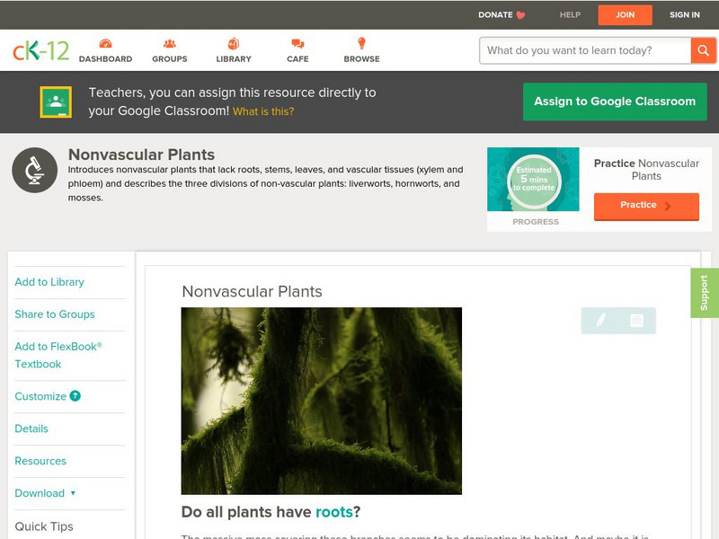 Ck 12: Biology: Nonvascular Plants Unit Plan