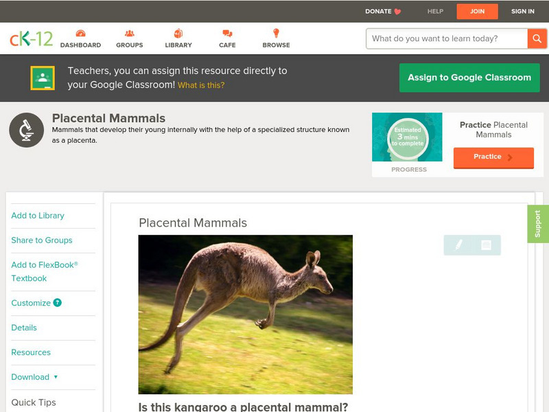 Ck 12: Biology: Placental Mammals Unit Plan Ck 12: Biology: Placental Mammals Unit Plan