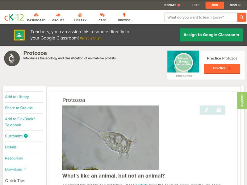 Ck 12: Biology: Protozoa Unit Plan Ck 12: Biology: Protozoa Unit Plan