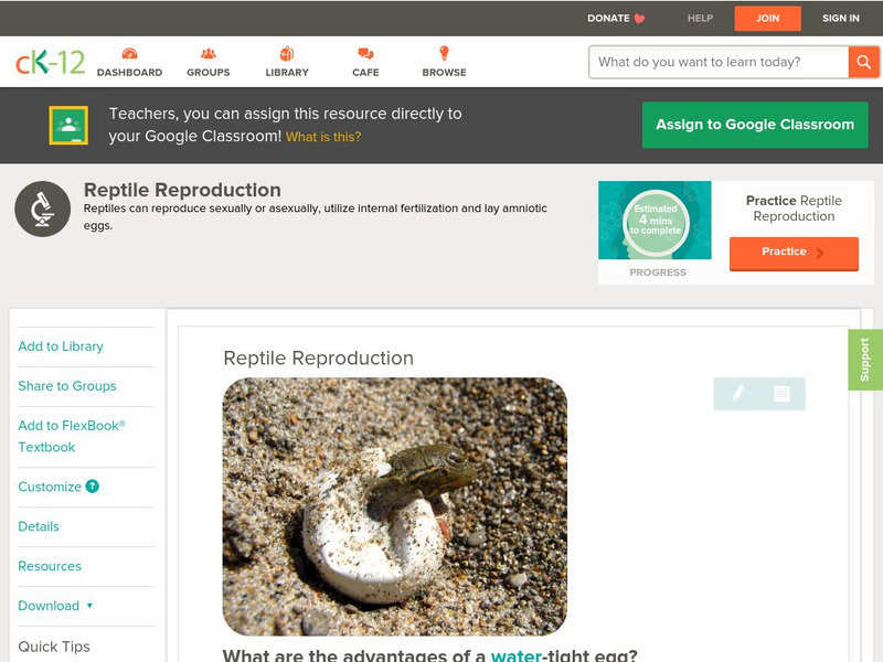 Ck 12: Biology: Reptile Reproduction Unit Plan Ck 12: Biology: Reptile Reproduction Unit Plan