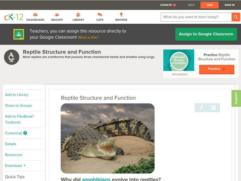 Ck 12: Biology: Reptile Structure and Function Unit Plan Ck 12: Biology: Reptile Structure and Function Unit Plan