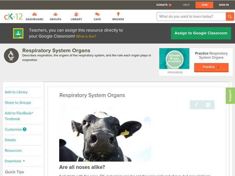 Ck 12: Biology: Respiratory System Organs Unit Plan Ck 12: Biology: Respiratory System Organs Unit Plan