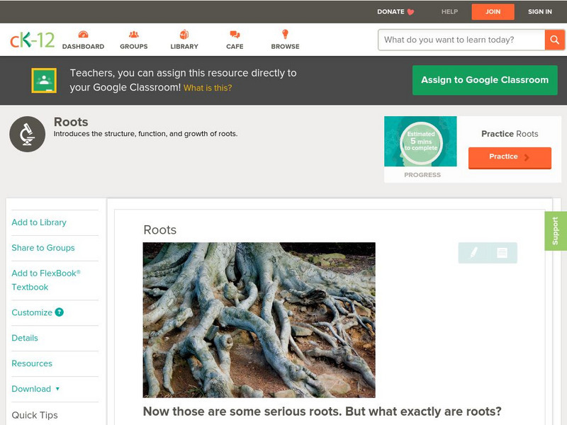 Ck 12: Biology: Roots Unit Plan Ck 12: Biology: Roots Unit Plan