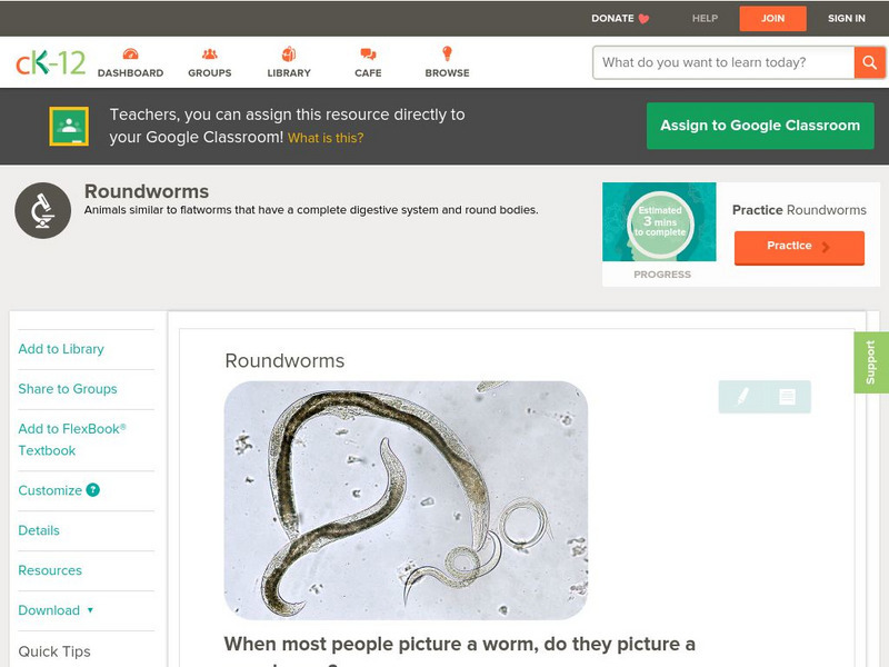 Ck 12: Biology: Roundworms Unit Plan Ck 12: Biology: Roundworms Unit Plan