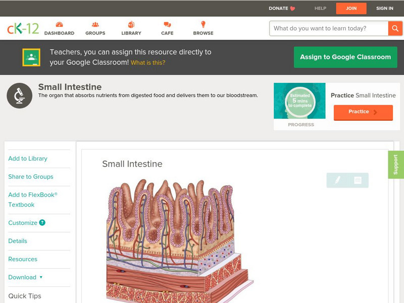 Ck 12: Biology: Small Intestine Unit Plan Ck 12: Biology: Small Intestine Unit Plan