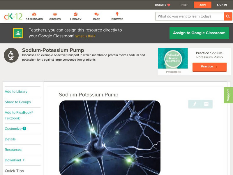 Ck 12: Biology: Sodium Potassium Pump Unit Plan Ck 12: Biology: Sodium Potassium Pump Unit Plan
