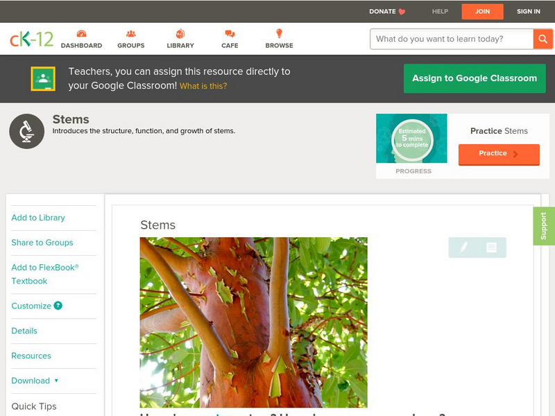 Ck 12: Biology: Stems Unit Plan Ck 12: Biology: Stems Unit Plan