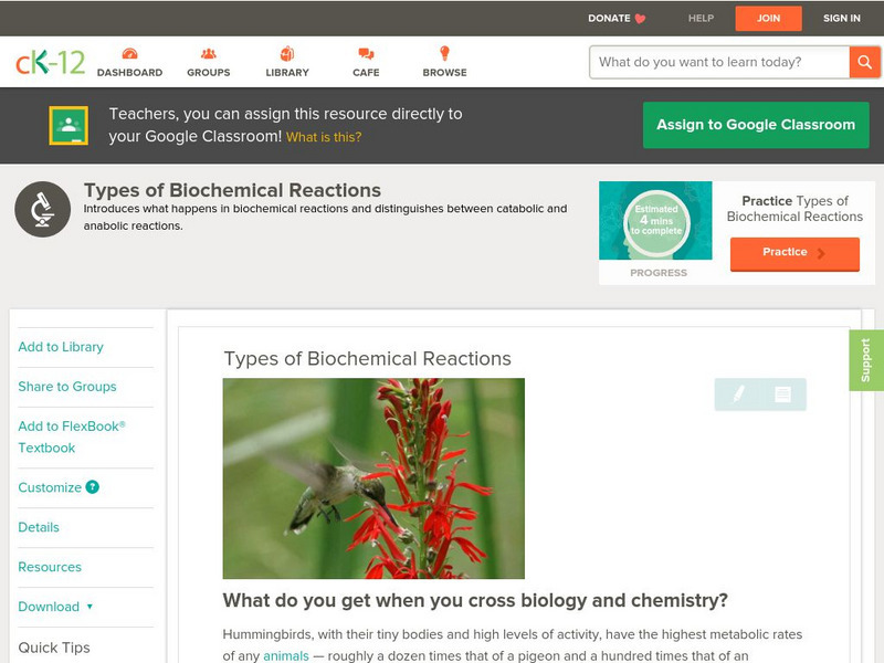 Ck 12: Biology: Types of Biochemical Reactions Unit Plan Ck 12: Biology: Types of Biochemical Reactions Unit Plan