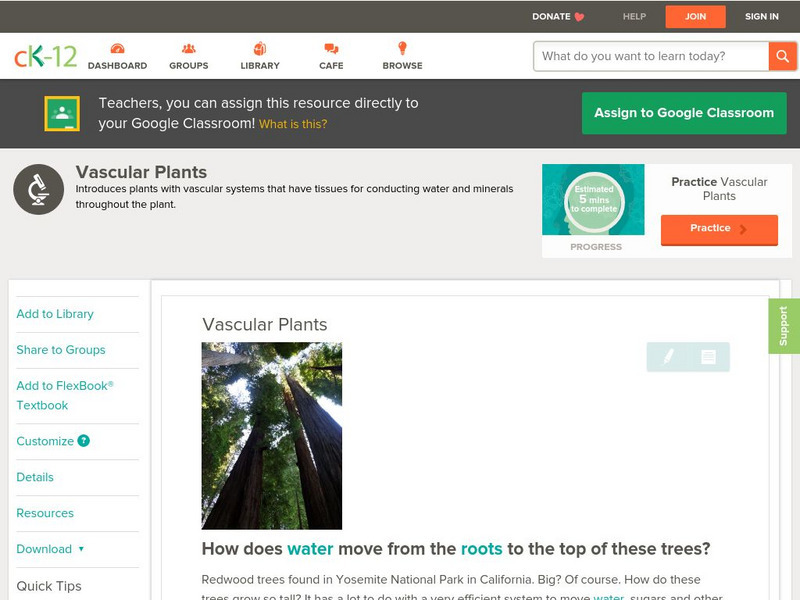 Ck 12: Biology: Vascular Plants Unit Plan Ck 12: Biology: Vascular Plants Unit Plan
