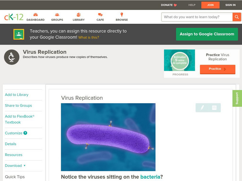 Ck 12: Biology: Virus Replication Unit Plan Ck 12: Biology: Virus Replication Unit Plan